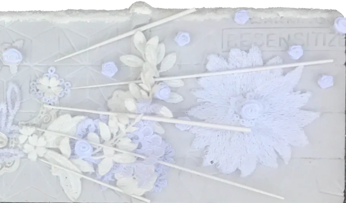 wallcusstom transparent