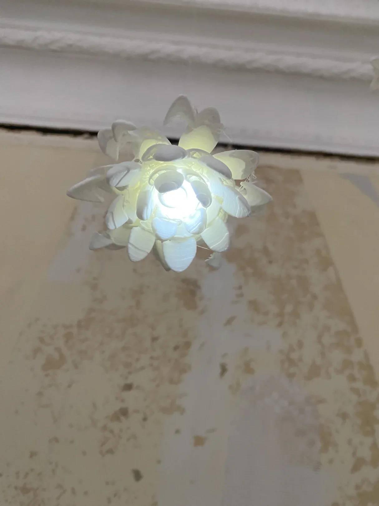 LL D2