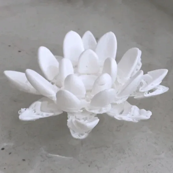 MINI lotus1