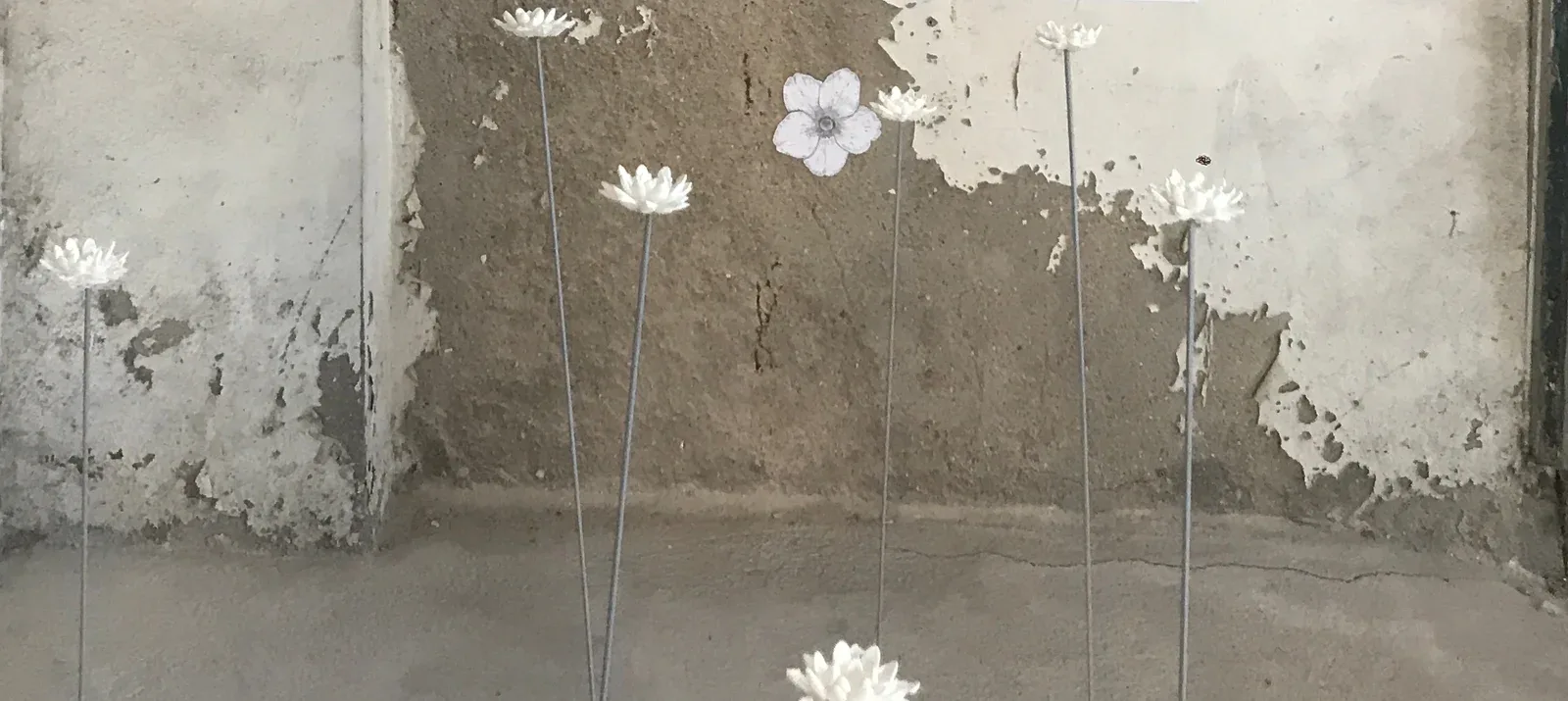 l100235641