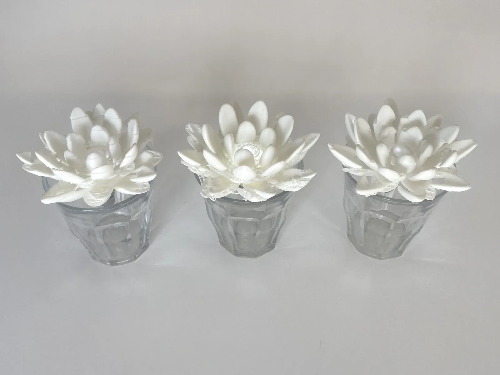 llotusglass