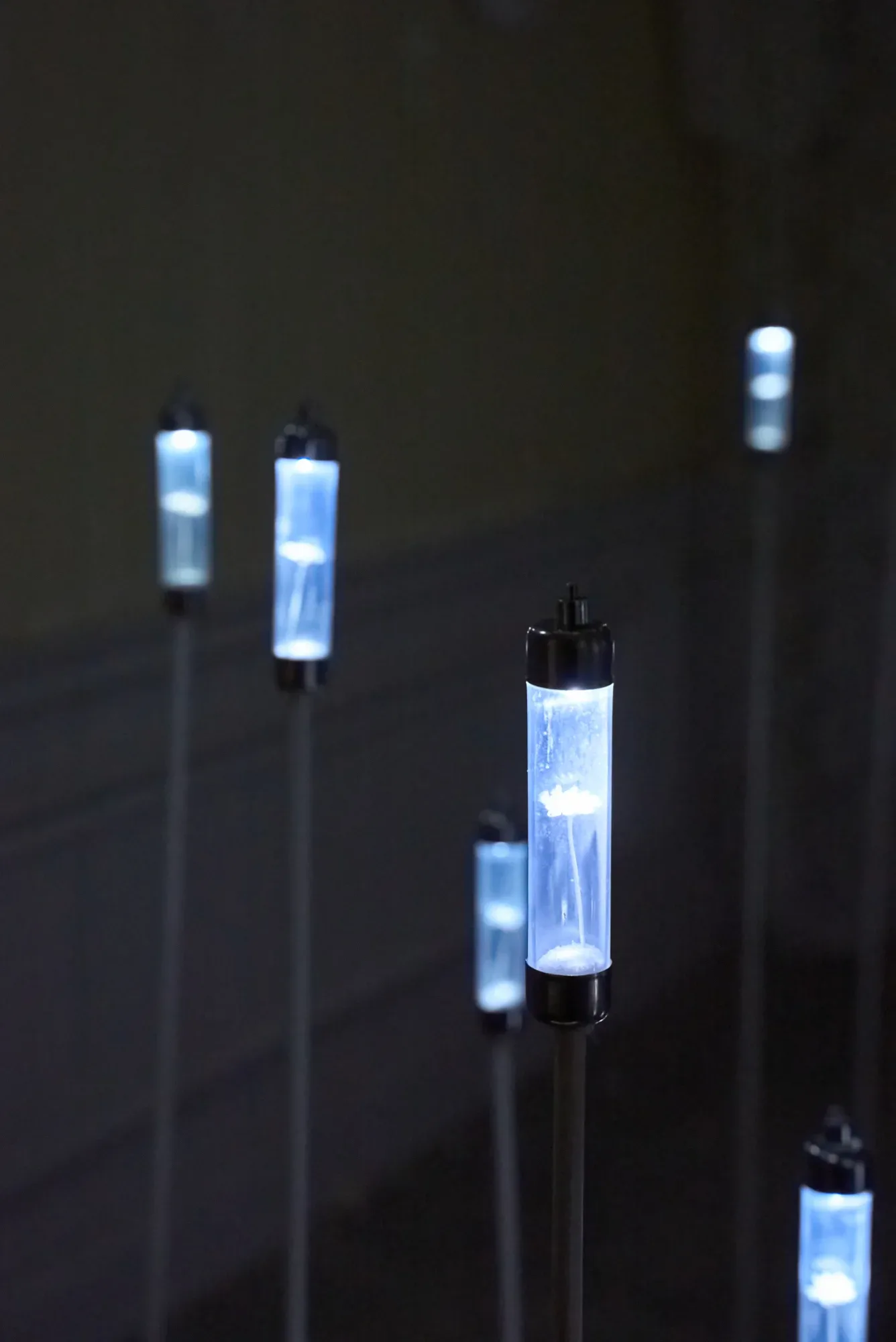 tubes1